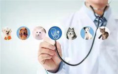 宠物医疗专业可以考兽医医师资格证吗?