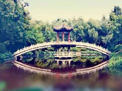 中心湖