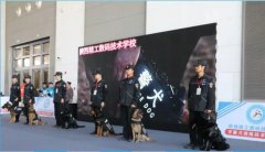 <b>匠心筑梦，技展锋芒 —— 我校工作犬技术专业亮相西北国际宠物产业博</b>